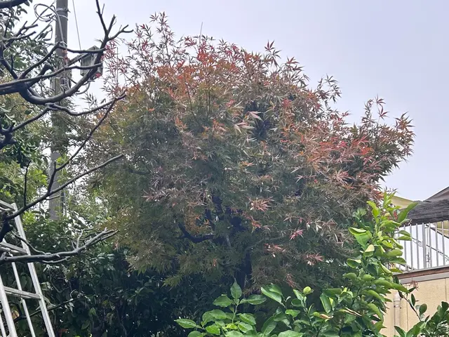 3年間100件以上の実績！大手企業も信頼するスペシャリストがご要望に完全対応サービスの画像