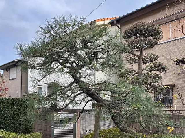 3年間100件以上の実績！大手企業も信頼するスペシャリストがご要望に完全対応サービスの画像