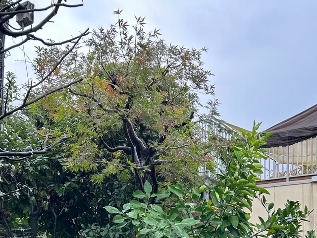 3年間100件以上の実績！大手企業も信頼するスペシャリストがご要望に完全対応サービスの画像