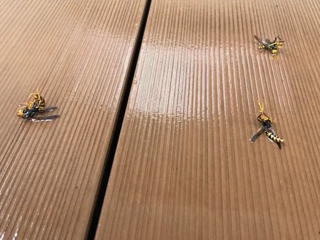 【365日24時間営業中！】駐車料金、駐車場代全てコミコミ責任を持ってご対応！サービスの画像