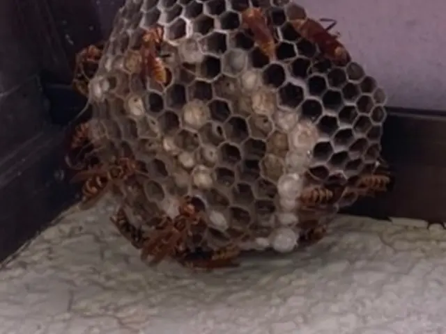 【365日24時間営業中！】駐車料金、駐車場代全てコミコミ責任を持ってご対応！サービスの画像