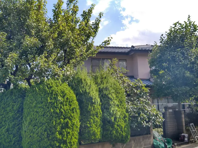 植木剪定、刈込み、高木も可。植木一本(低木、中木は複数本のみ）から承ります。サービスの画像