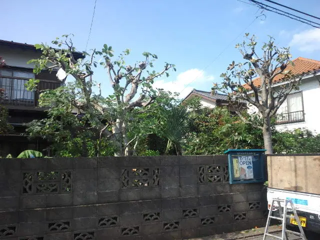 植木剪定、刈込み、高木も可。植木一本(低木、中木は複数本のみ）から承ります。サービスの画像