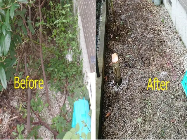 埼玉・東京西部☆住宅街では充電タイプ使用で静音★丁寧！綺麗！安心！サービスの画像