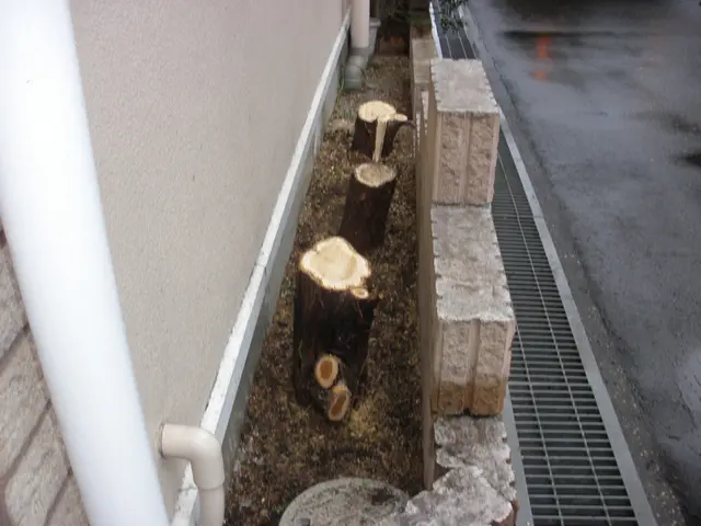 埼玉・東京西部☆住宅街では充電タイプ使用で静音★丁寧！綺麗！安心！サービスの画像