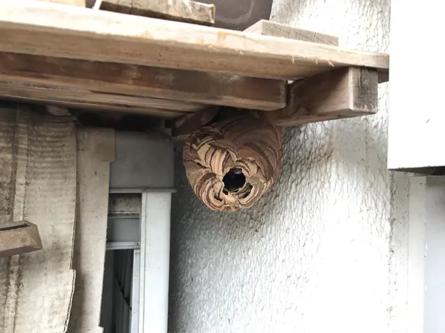 【本日可】最短日時でお伺いします！低い再発率・現金、クレカ、後払い可・年中無休サービスの画像