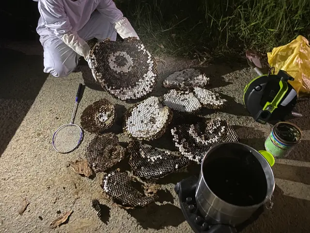 【本日可】最短日時でお伺いします！低い再発率・現金、クレカ、後払い可・年中無休サービスの画像