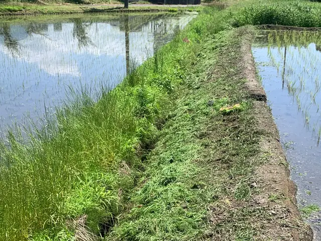 【草刈りなら当店】★頑固な草もお任せ下さい。◇土日も対応致します。◇サービスの画像
