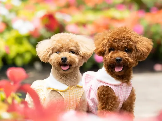 【大切な瞬間をカタチに】1時間撮影80カット以上 ➡ 全データ『翌日迄』にお渡し