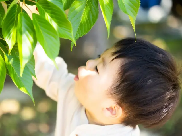 【大切な瞬間をカタチに】1時間撮影80カット以上 ➡ 全データ『翌日迄』にお渡し