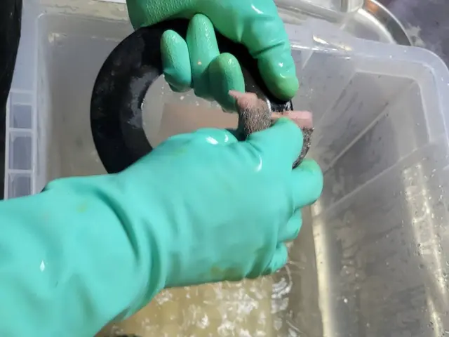 【口コミ高評価】蓄積した汚れ丁寧に隅々まできれいに仕上げます!フッ素コート付き♪サービスの画像