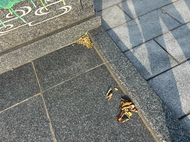 【心を込めたお墓参り代行・お掃除】写真でご報告します◎サービスの画像