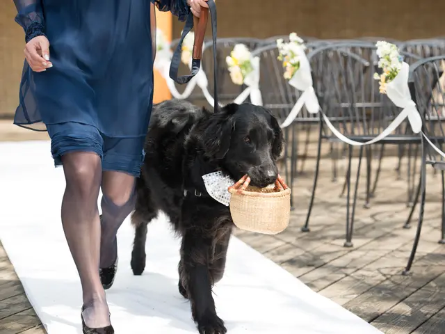 《一生の思い出に》心に残るワンシーンを撮影いたします！