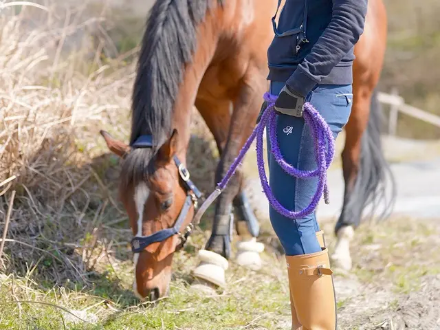 愛犬家フォトグラファーが撮るペット出張撮影｜6100万画素の瞳AFで最高の1枚を