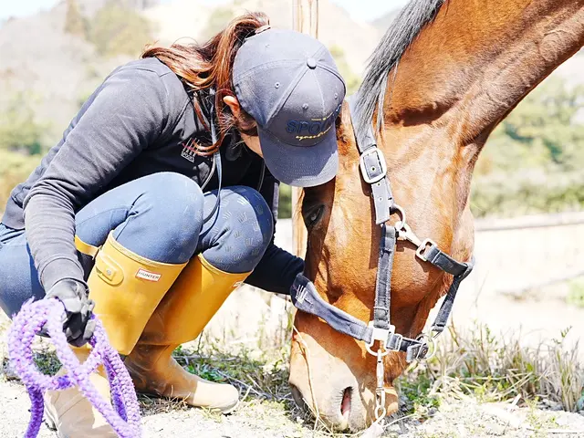 愛犬家フォトグラファーが撮るペット出張撮影｜6100万画素の瞳AFで最高の1枚を