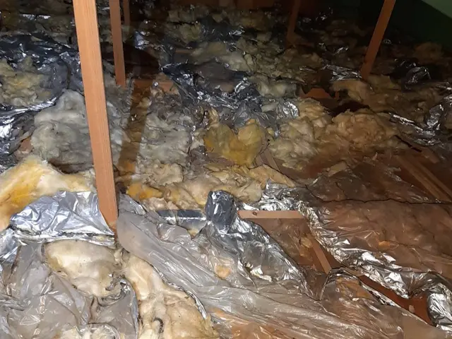 【完全害獣駆除専門】【再発率0%継続中、確かな技術】【ご自宅の調査見積もり無料】サービスの画像