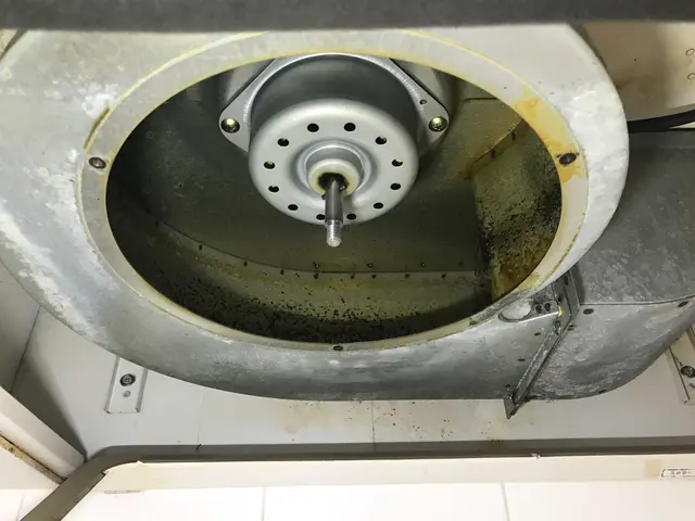 【油汚れを徹底洗浄☆】プロの技でツルツルピカピカ防汚仕上げ☆【女性同行可◉】サービスの画像