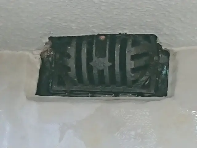 鳩の糞は見た目も気持ち悪いし、何より有害な菌が気になります。早めの対応が有効！サービスの画像