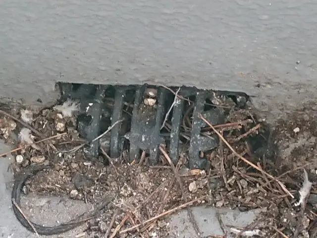 鳩の糞は見た目も気持ち悪いし、何より有害な菌が気になります。早めの対応が有効！サービスの画像