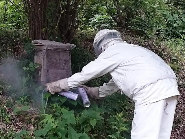 《有料P代当店負担！》迅速対応！時間外も相談可♪ハチ駆除はお任せサービスの画像