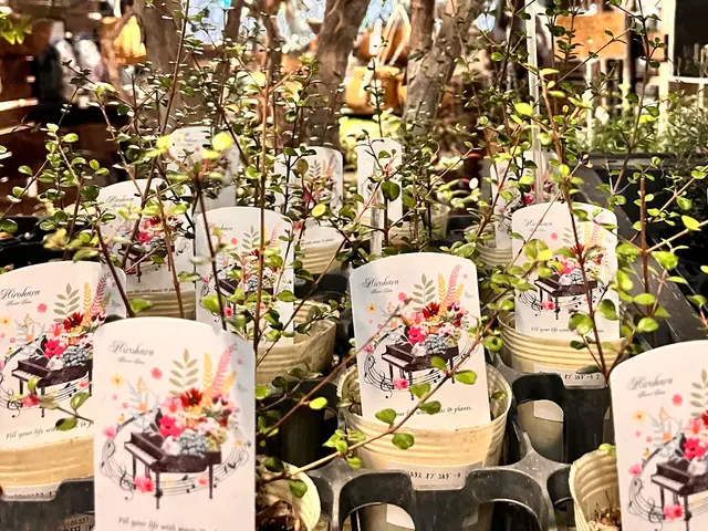 お客様に必要な園芸用品を買い揃えます！サービスの画像