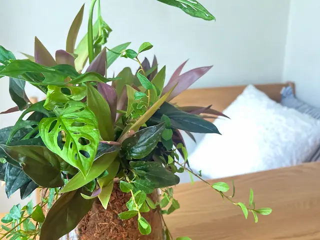 お客様に必要な園芸用品を買い揃えます！サービスの画像