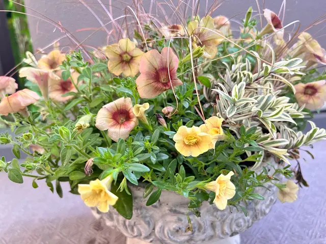 お客様に必要な園芸用品を買い揃えます！サービスの画像