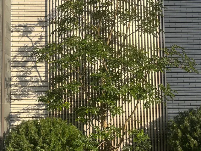 1本から承ります！◆千葉市発◆お立ち会い不用！サービスの画像