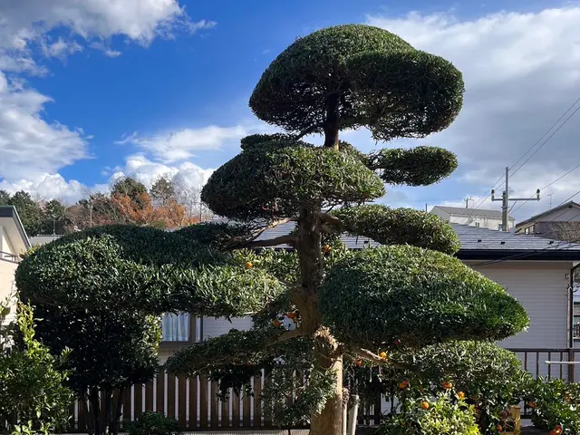 1本から承ります！◆千葉市発◆お立ち会い不用！サービスの画像