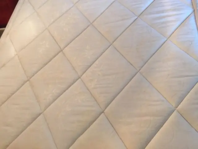 ◆妥協を許さない全力施工◆繊維専用の除菌洗浄剤で汚れを根こそぎ除去します。サービスの画像