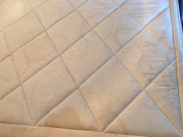 ◆妥協を許さない全力施工◆繊維専用の除菌洗浄剤で汚れを根こそぎ除去します。サービスの画像