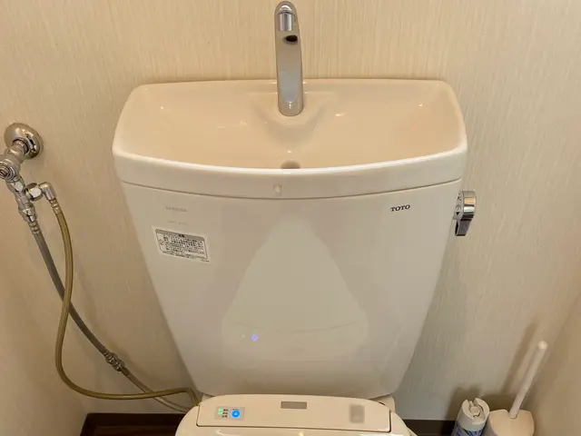 【トイレ】のクリーニング♪目立つ尿石、シミ、溜まったホコリとおさらばしませんか？サービスの画像