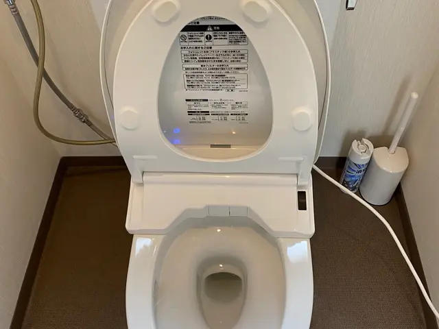 【トイレ】のクリーニング♪目立つ尿石、シミ、溜まったホコリとおさらばしませんか？サービスの画像