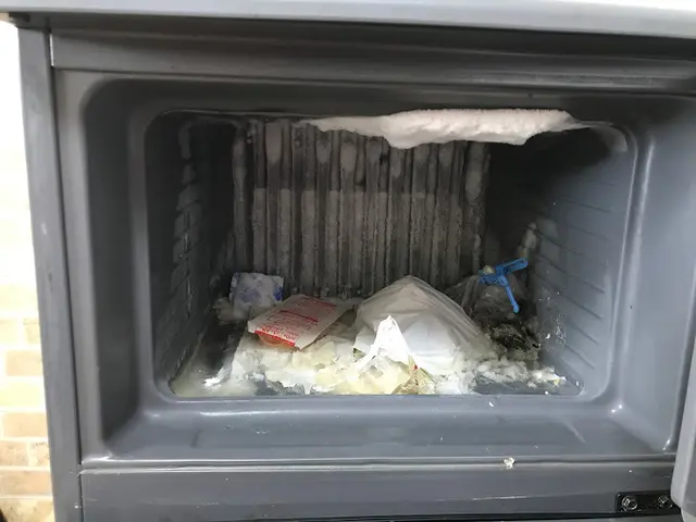 【受付可】安心安全冷蔵庫のクリーニングは、プロにお任せ下さい！サービスの画像