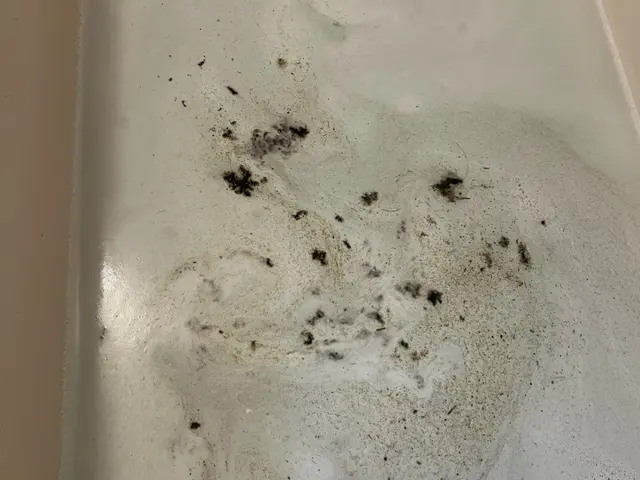 夫婦仲良くお伺い致します◎作業外注なし◎損保加入◎駐車場代当店負担◎サービスの画像