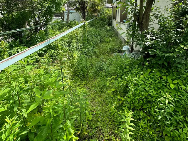 【迅速丁寧な対応】◆ご安心ください！作業外注一切なし◆高いリピート率◎サービスの画像