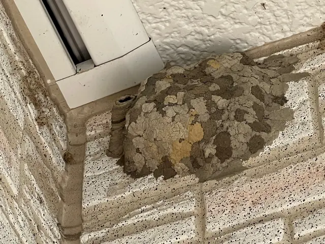 【石川県で稼働中！】（アシナガ8000円〜）（クレカ決済可）予約は直接可能です！サービスの画像