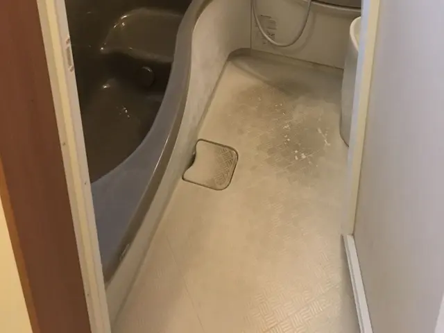 作業実績多数！嫌なカビやヌメリ・皮脂汚れや落ちにくい水垢も除去！サービスの画像