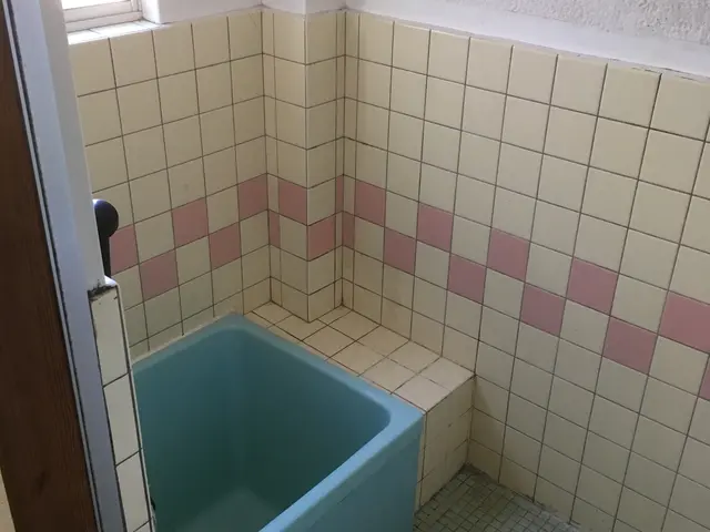 作業実績多数！嫌なカビやヌメリ・皮脂汚れや落ちにくい水垢も除去！サービスの画像