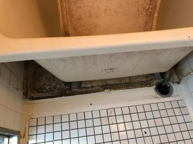 作業実績多数！嫌なカビやヌメリ・皮脂汚れや落ちにくい水垢も除去！サービスの画像