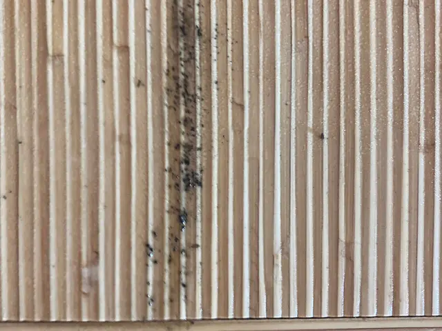 ☆出店5周年キャンペーン☆通常価格→30%OFF中★4年連続アワード受賞店★サービスの画像