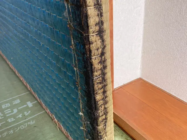 ☆出店5周年キャンペーン☆通常価格→30%OFF中★4年連続アワード受賞店★サービスの画像