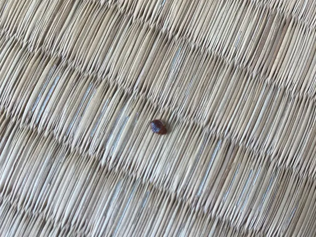 ☆出店5周年キャンペーン☆通常価格→30%OFF中★4年連続アワード受賞店★サービスの画像