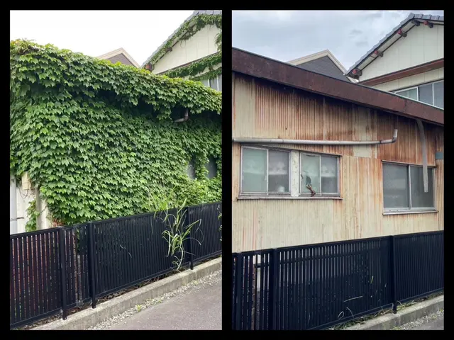 草刈り　お手軽コースサービスの画像