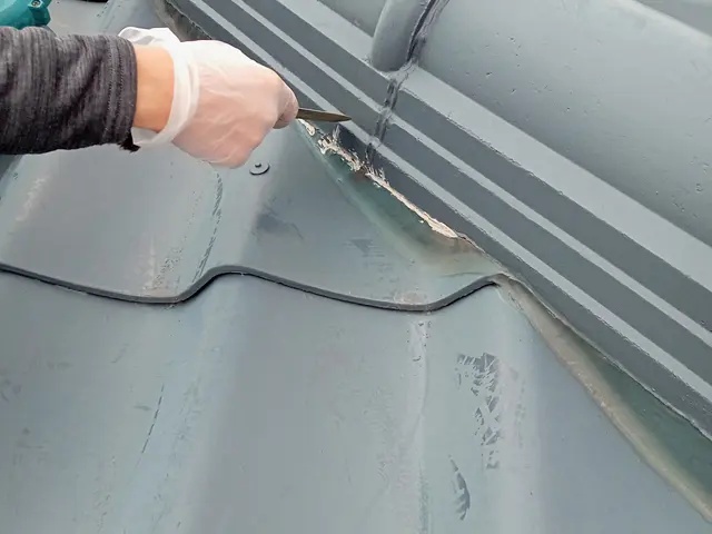 お屋根のカビ・汚れ・めくれが気になったら当社まで！サービスの画像