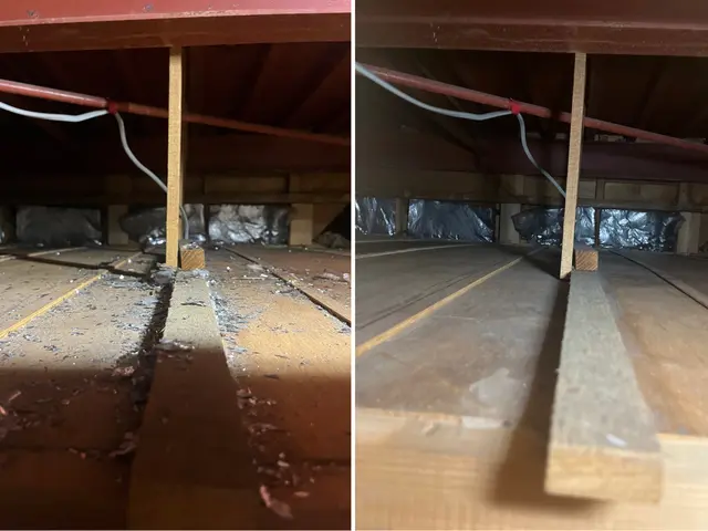 関西、名古屋、関東エリア対応。安心安全薬剤。お見積もり無料です。時間外も対応可能サービスの画像