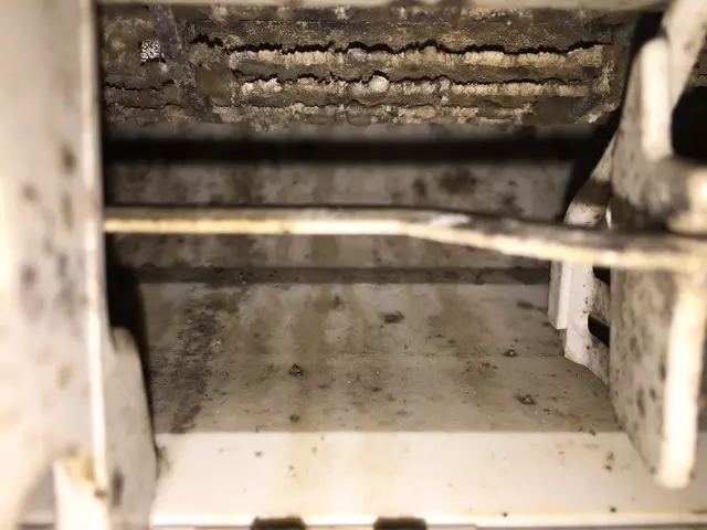 エアコンクリーニングでカビウイルスを除去します！家族の健康が一番大事です！サービスの画像