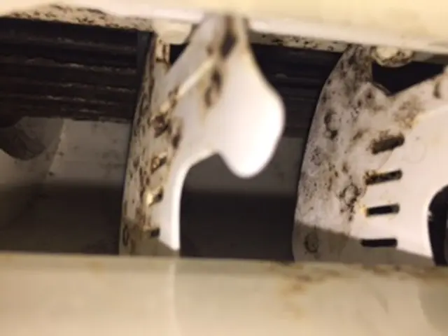 エアコンクリーニングでカビウイルスを除去します！家族の健康が一番大事です！サービスの画像