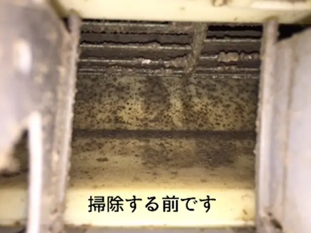 エアコンクリーニングでカビウイルスを除去します！家族の健康が一番大事です！サービスの画像