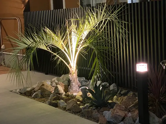 抜根、伐採、植込み、ロックガーデン、ドライガーデン、観葉植物鉢替、お安く請負ますサービスの画像